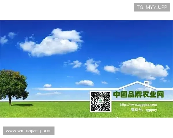 互博国际：如何实现线上线下无缝对接的创新运营策略